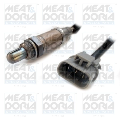 Oxygen Sensor